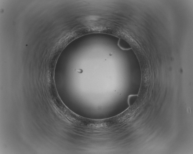 X0000071810639200607141611