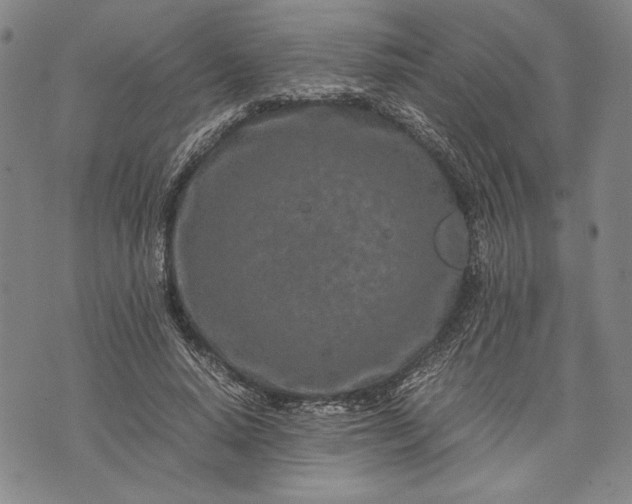 X0000071810640200607141611