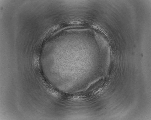 X0000071810641200607141611