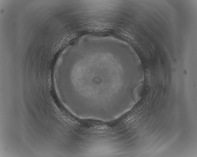 X0000071810642200607141611