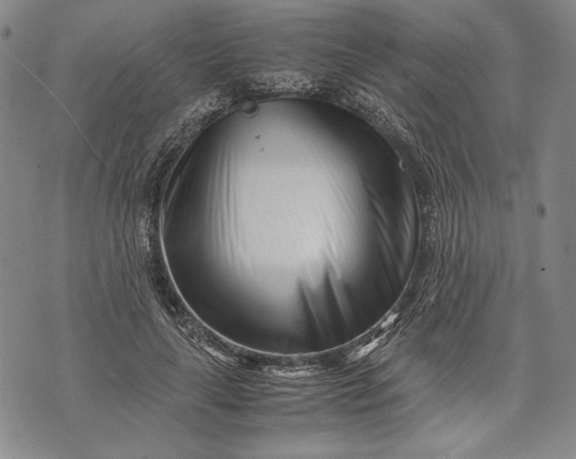 X0000071810643200607141611