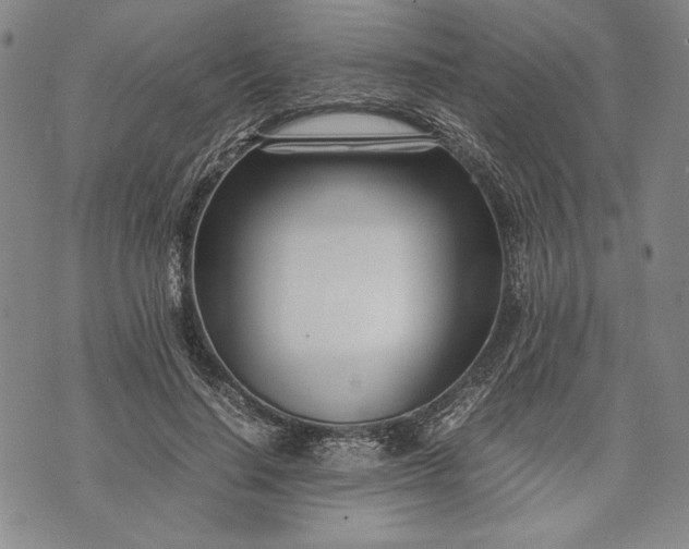 X0000071810644200607141611