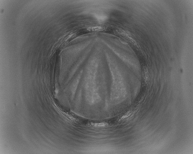 X0000071810645200607141611