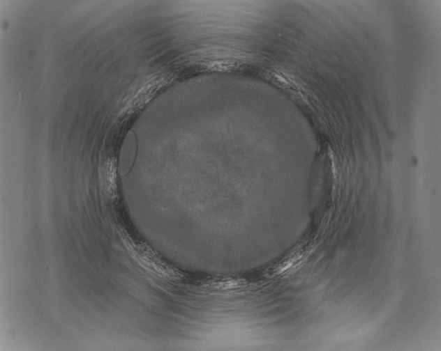 X0000071810646200607141611