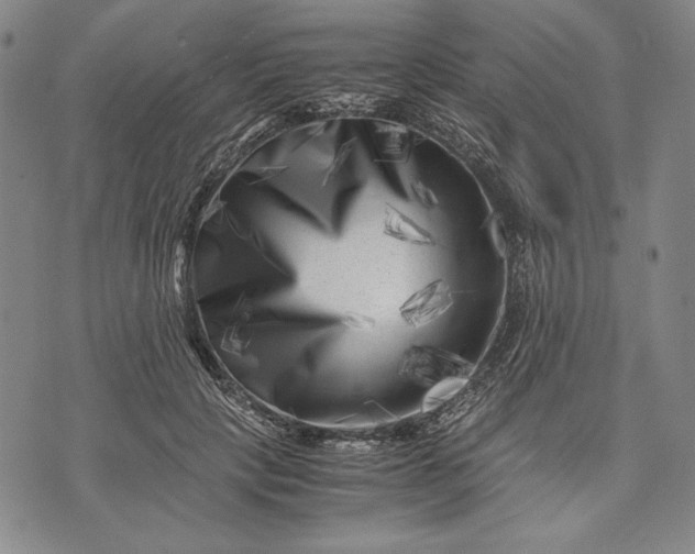 X0000071810649200607141611