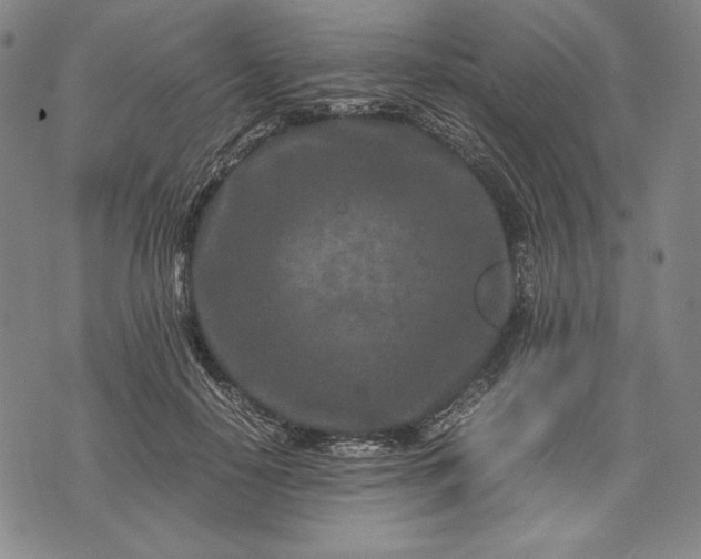 X0000071810650200607141611