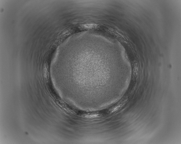 X0000071810651200607141611