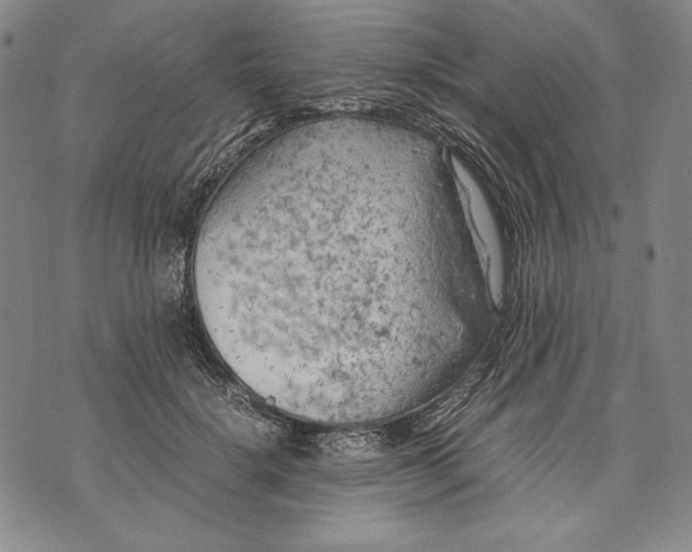 X0000071810652200607141611