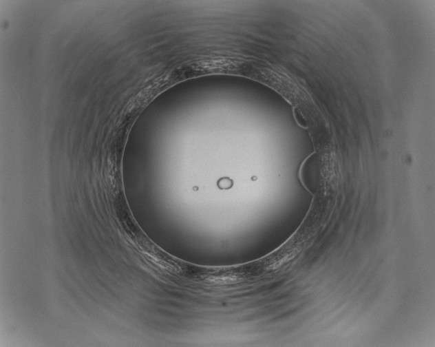 X0000071810653200607141611