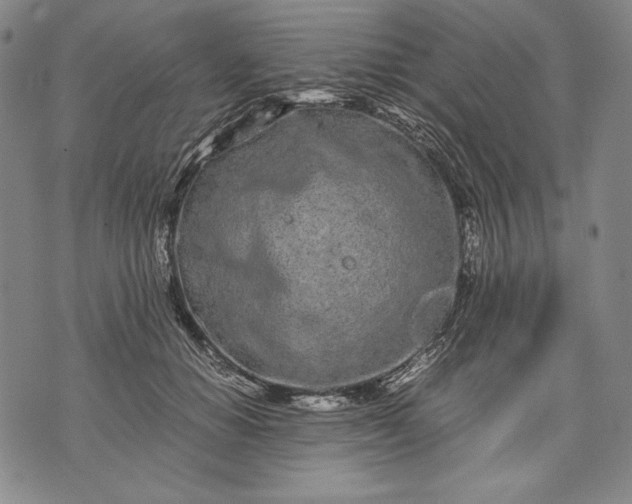 X0000071810654200607141611