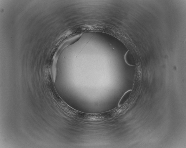 X0000071810657200607141611