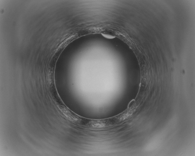 X0000071810658200607141611