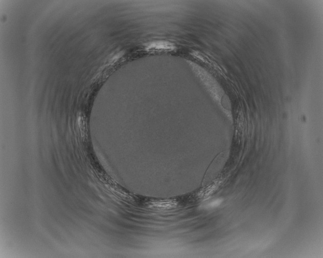 X0000071810659200607141611