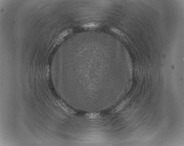 X0000071810660200607141611