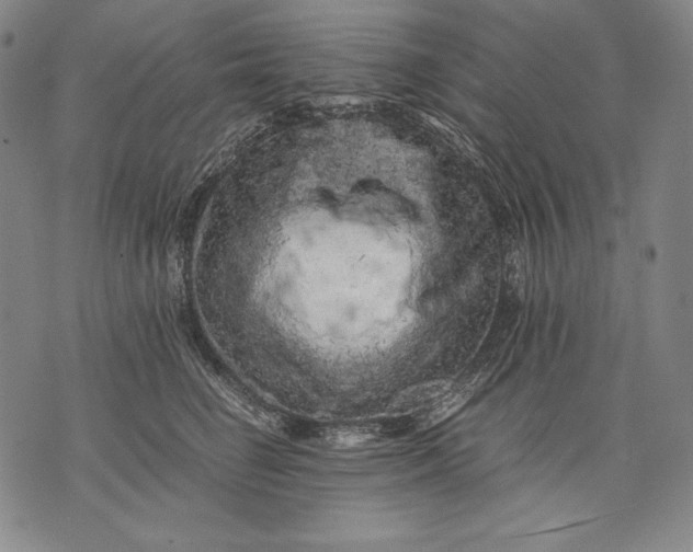 X0000071810662200607141612