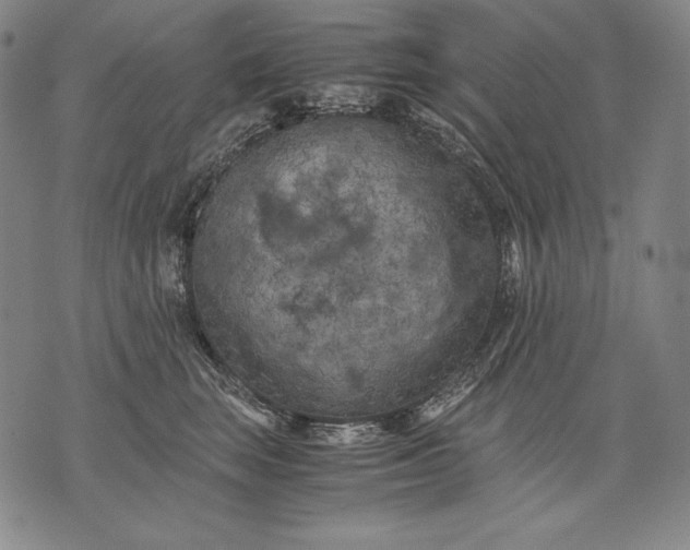 X0000071810663200607141612