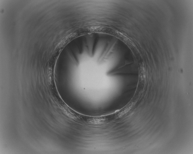 X0000071810664200607141612