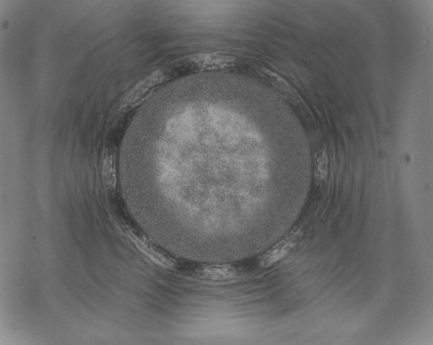 X0000071810666200607141612