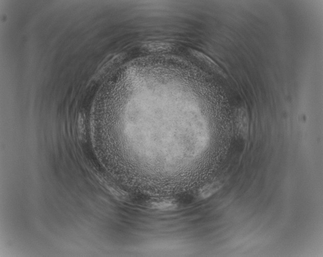 X0000071810667200607141612