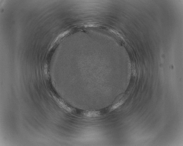 X0000071810670200607141612