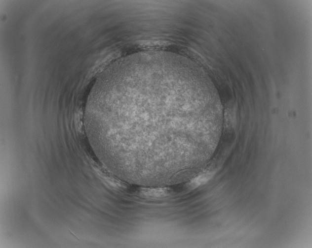 X0000071810671200607141612