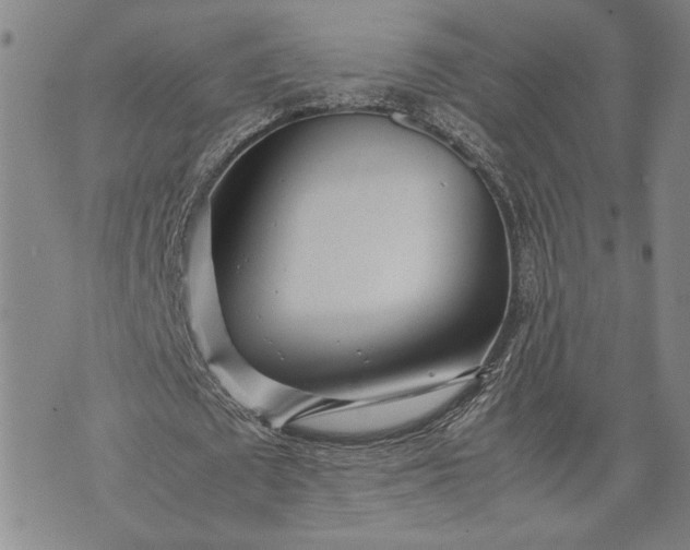 X0000071810673200607141611