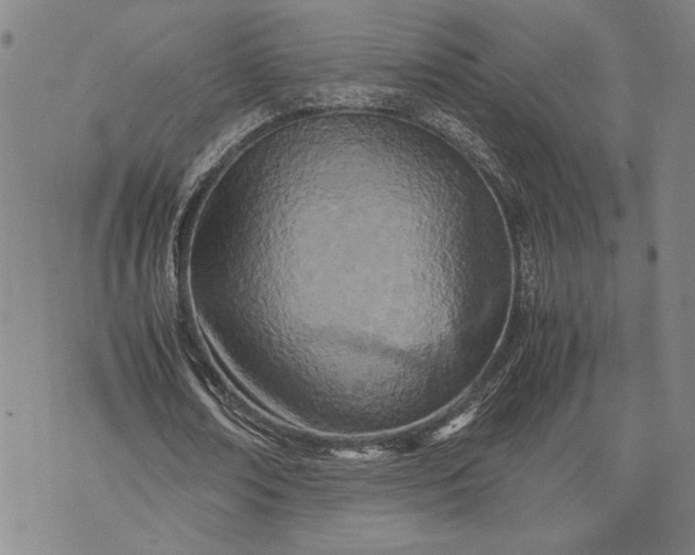 X0000071810674200607141611