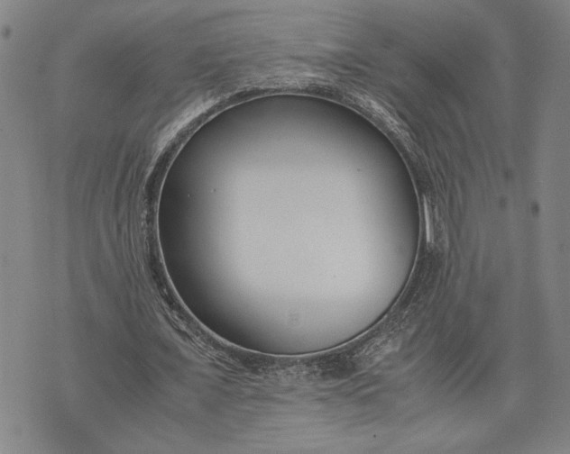 X0000071810675200607141611