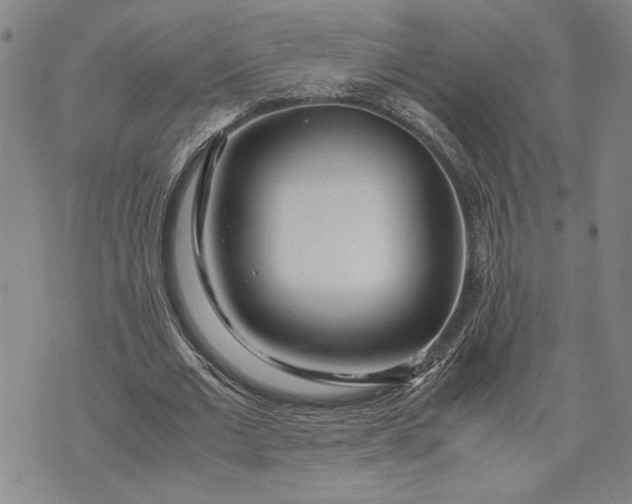 X0000071810677200607141611