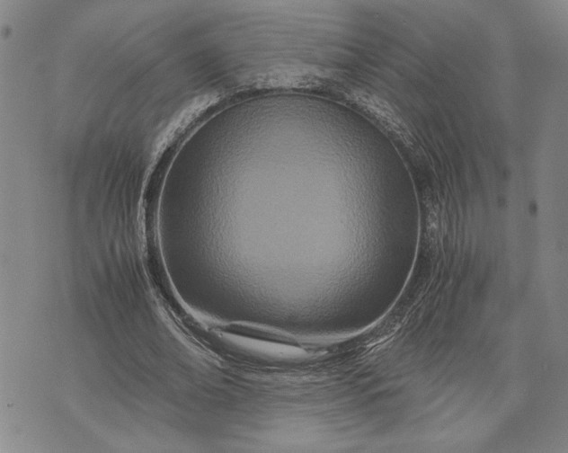 X0000071810678200607141611