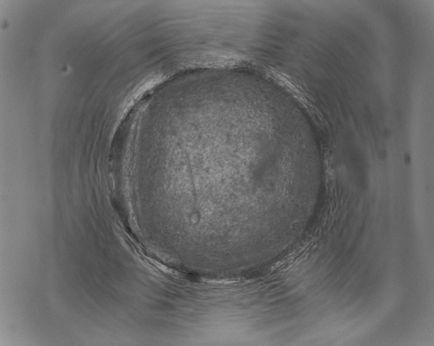 X0000071810679200607141611