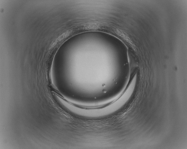 X0000071810681200607141611