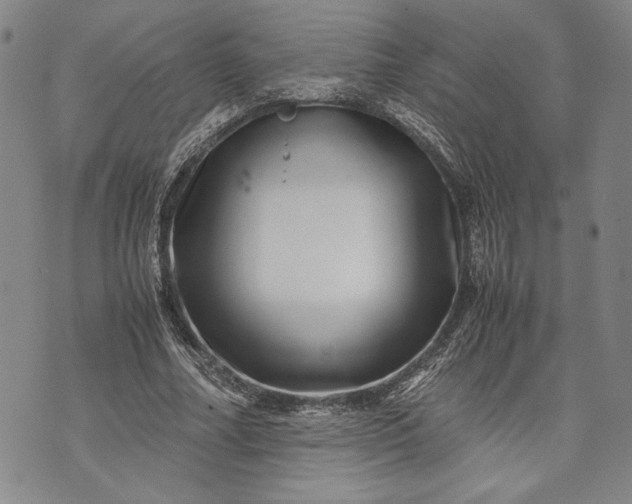 X0000071810682200607141611