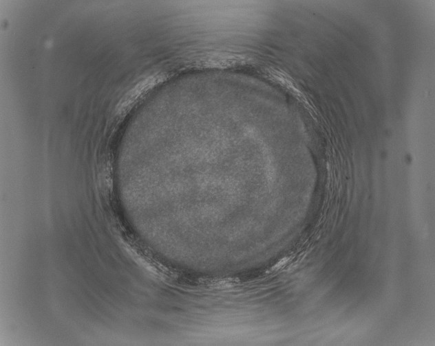 X0000071810683200607141611