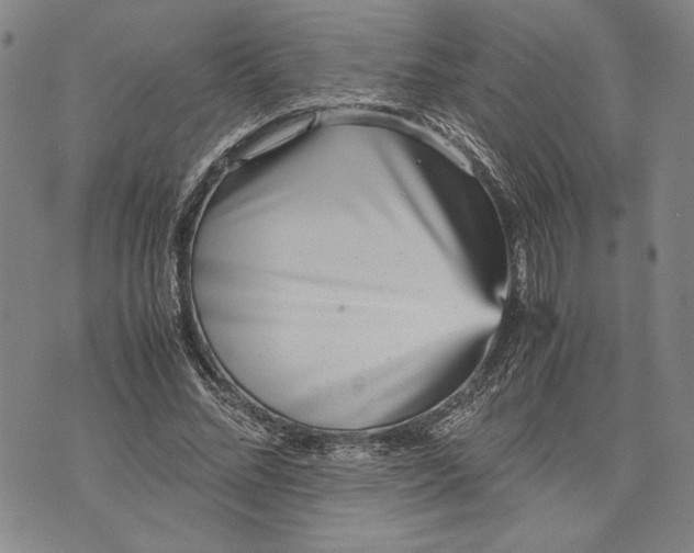 X0000071810684200607141611