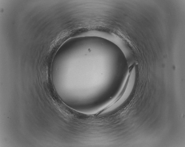 X0000071810685200607141611