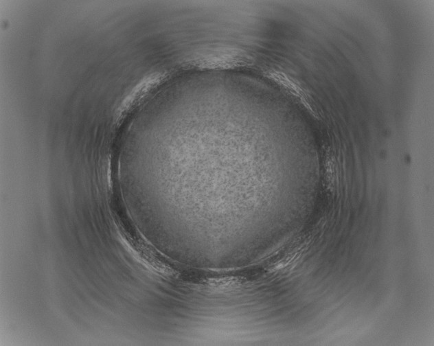 X0000071810686200607141611