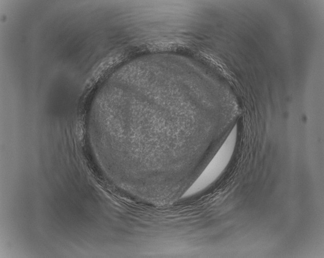 X0000071810687200607141611