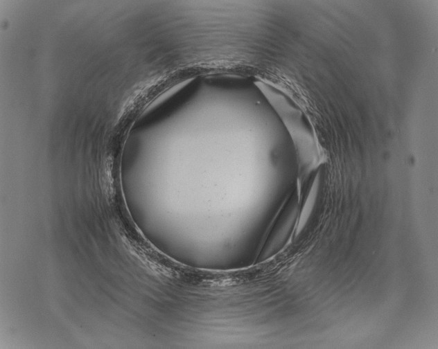 X0000071810688200607141611