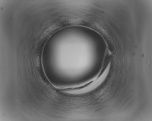 X0000071810689200607141611