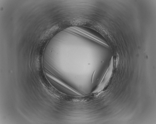 X0000071810690200607141611