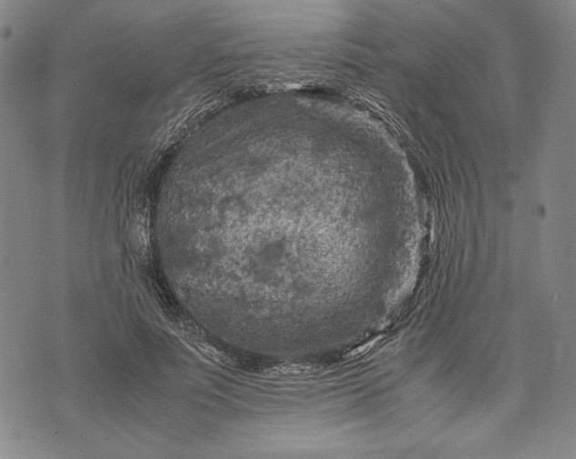 X0000071810691200607141611