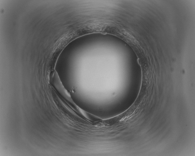 X0000071810693200607141611