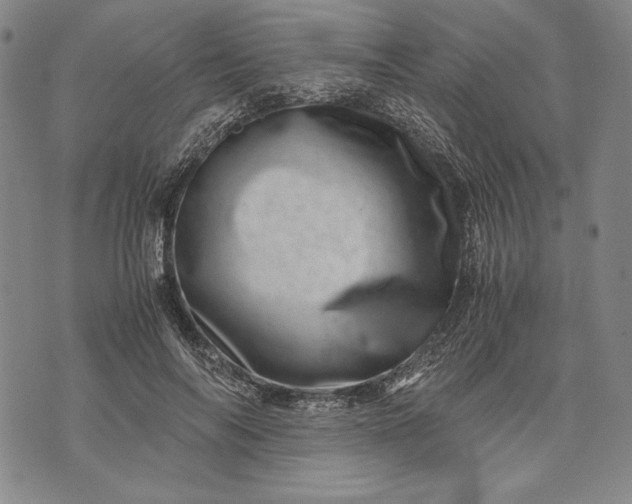 X0000071810694200607141611