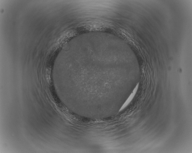 X0000071810695200607141611