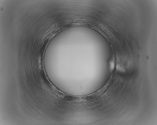 X0000071810696200607141611