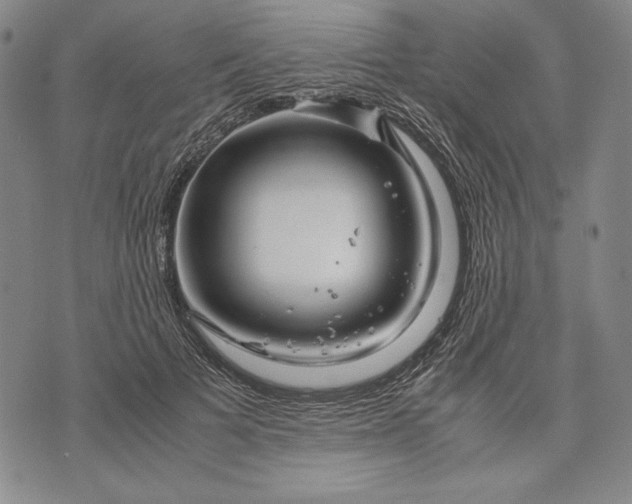 X0000071810697200607141611