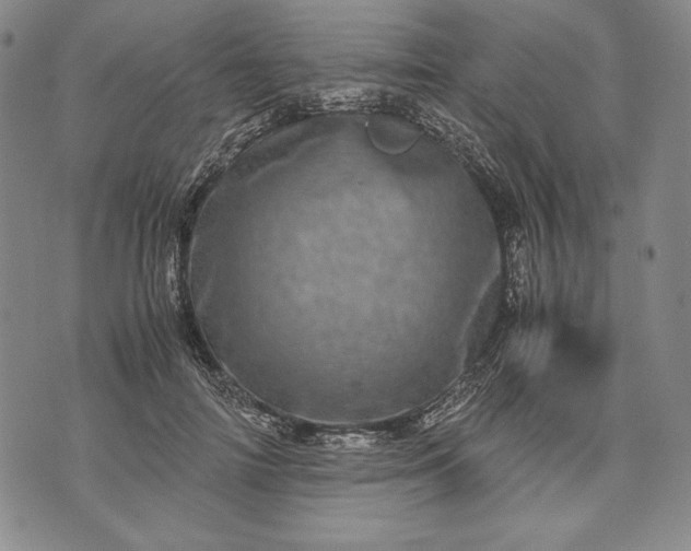 X0000071810698200607141610