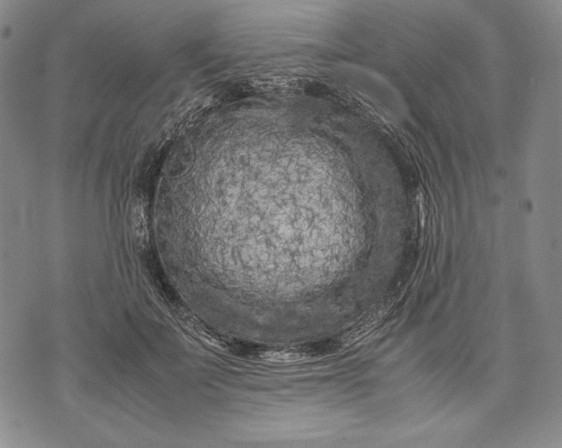 X0000071810699200607141610