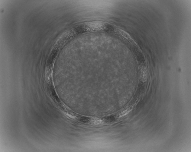 X0000071810701200607141610